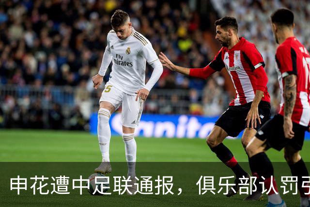 申花遭中足联通报，俱乐部认罚引发球迷不满